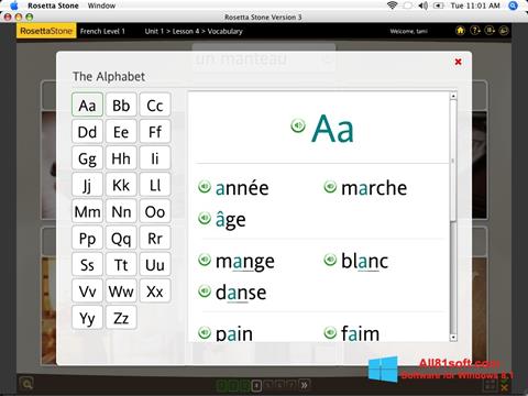 Skærmbillede Rosetta Stone Windows 8.1