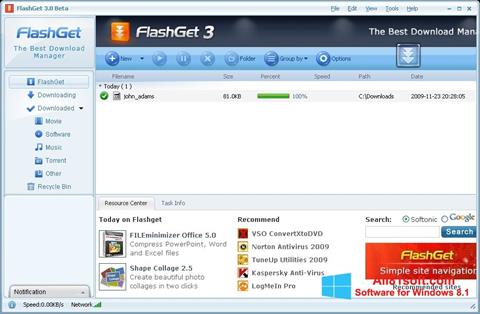 Skærmbillede FlashGet Windows 8.1