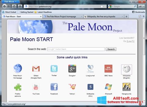 Skærmbillede Pale Moon Windows 8.1