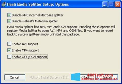 Skærmbillede Haali Media Splitter Windows 8.1