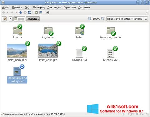 Skærmbillede Dropbox Windows 8.1