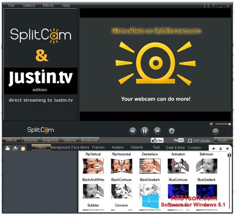 Skærmbillede SplitCam Windows 8.1