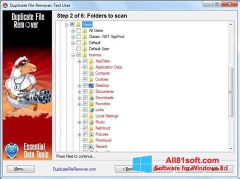 Skærmbillede Duplicate File Remover Windows 8.1