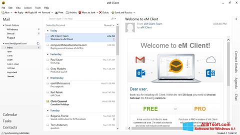 Skærmbillede eM Client Windows 8.1