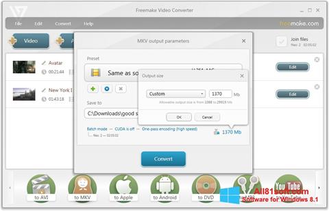 Skærmbillede Freemake Video Converter Windows 8.1