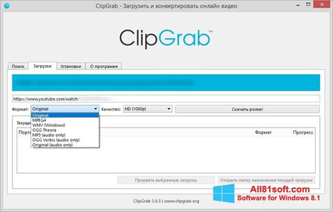 Skærmbillede ClipGrab Windows 8.1