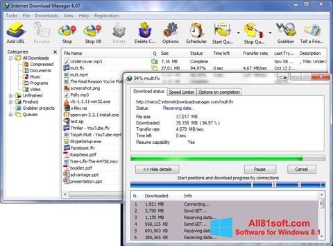 Skærmbillede Internet Download Manager Windows 8.1