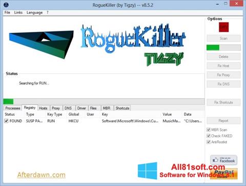 Skærmbillede RogueKiller Windows 8.1