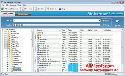 Skærmbillede File Scavenger Windows 8.1