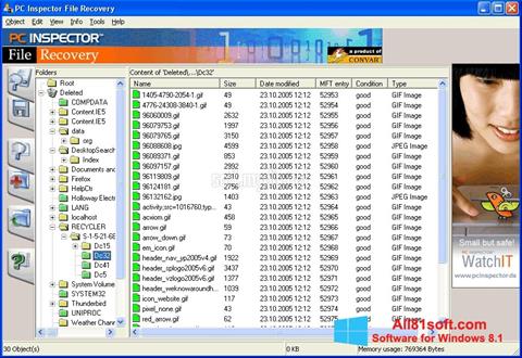 Skærmbillede PC Inspector File Recovery Windows 8.1