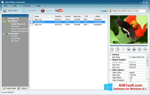 Skærmbillede Any Video Converter Windows 8.1
