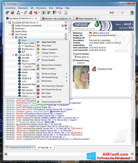 Skærmbillede TeamSpeak Windows 8.1
