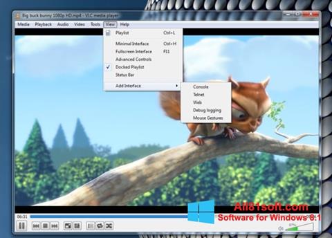 Skærmbillede VLC Media Player Windows 8.1