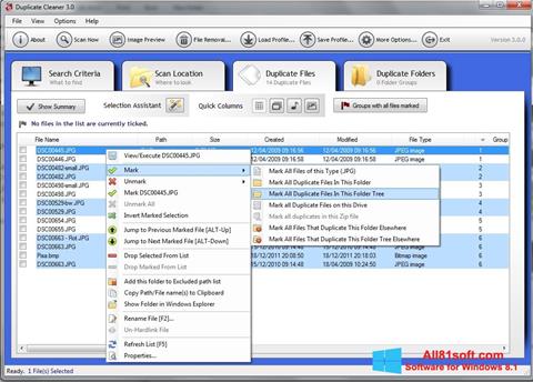 Skærmbillede Duplicate Cleaner Windows 8.1