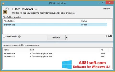 Skærmbillede IObit Unlocker Windows 8.1