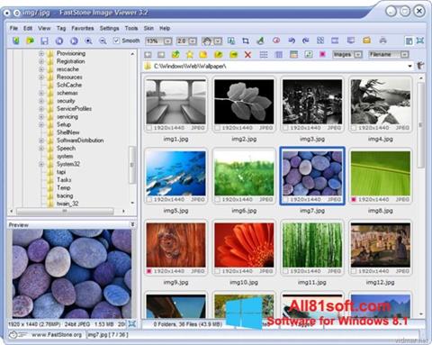 Skærmbillede FastStone Image Viewer Windows 8.1