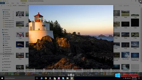Skærmbillede Picasa Photo Viewer Windows 8.1