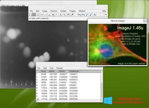 Skærmbillede ImageJ Windows 8.1