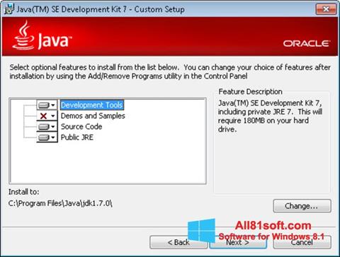 Skærmbillede Java Development Kit Windows 8.1
